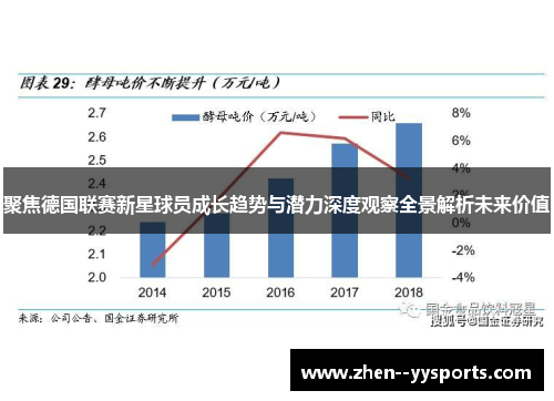 聚焦德国联赛新星球员成长趋势与潜力深度观察全景解析未来价值